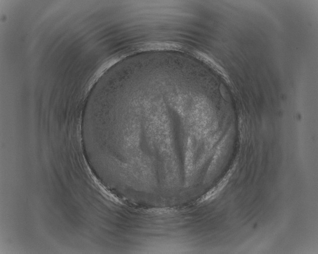 X0000073531033200608211824