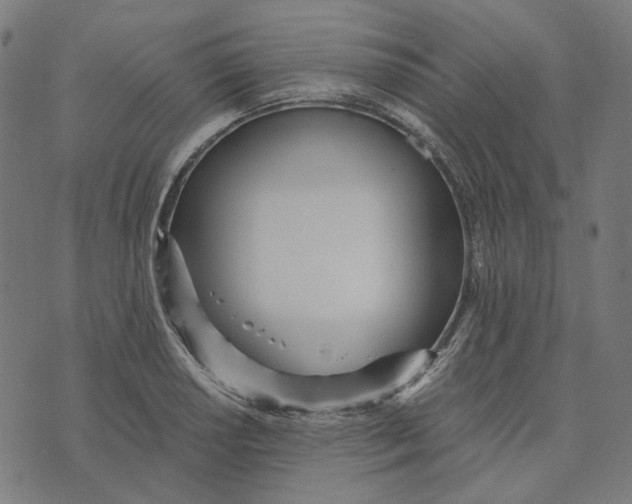 X0000073531034200608211824