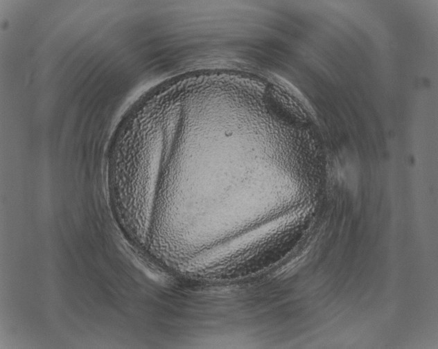 X0000073531035200608211824