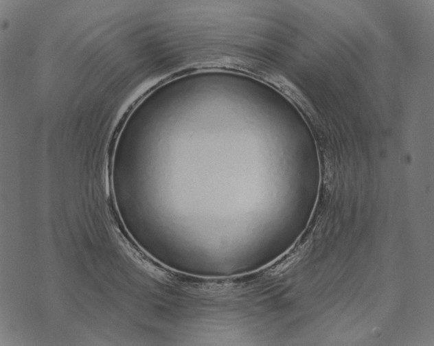 X0000073531036200608211824