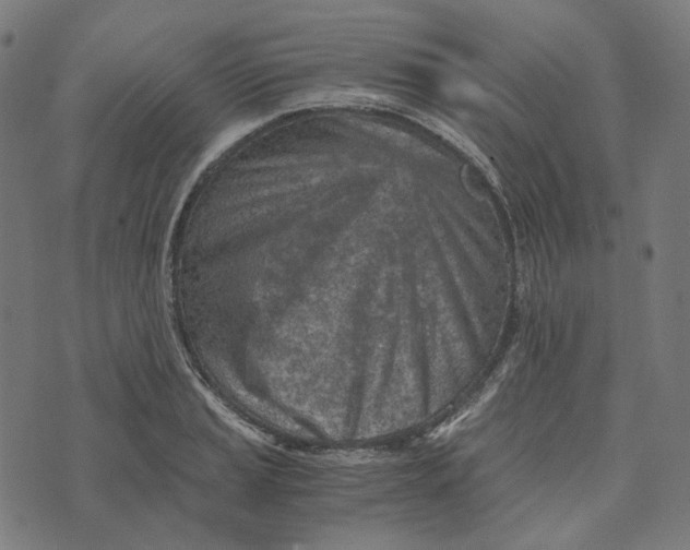 X0000073531037200608211824