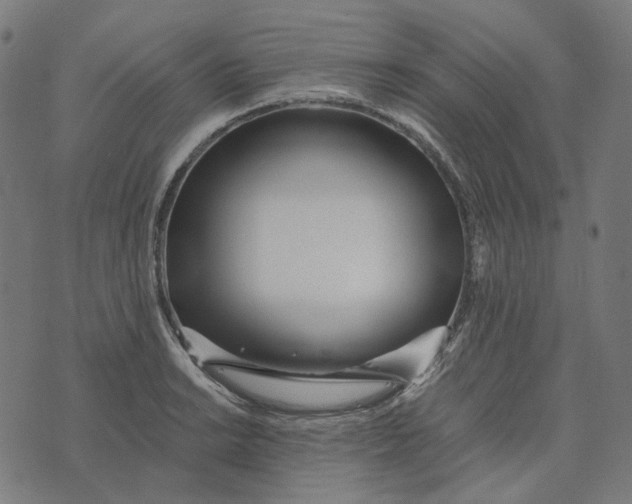 X0000073531038200608211824