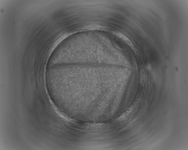 X0000073531039200608211825