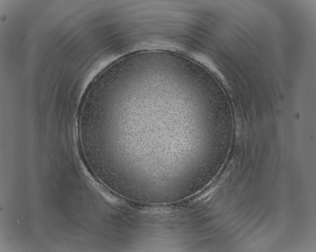 X0000073531040200608211825