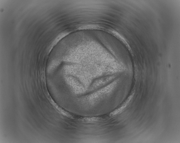 X0000073531041200608211825