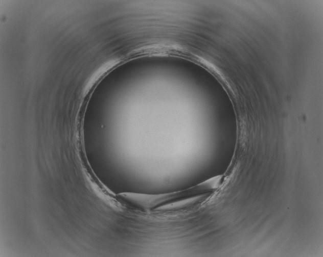 X0000073531042200608211825