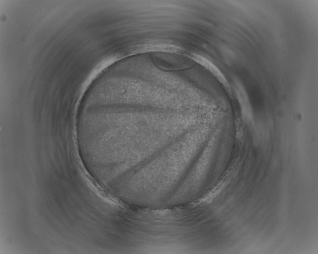 X0000073531043200608211825