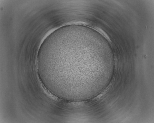 X0000073531044200608211825