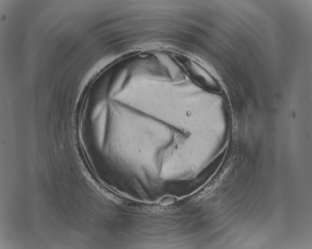 X0000073531045200608211825