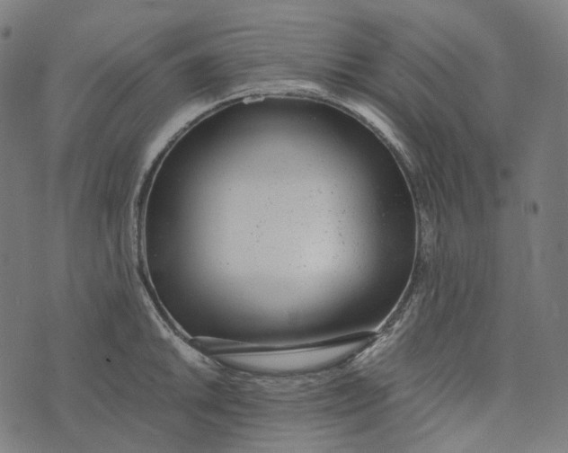 X0000073531046200608211825