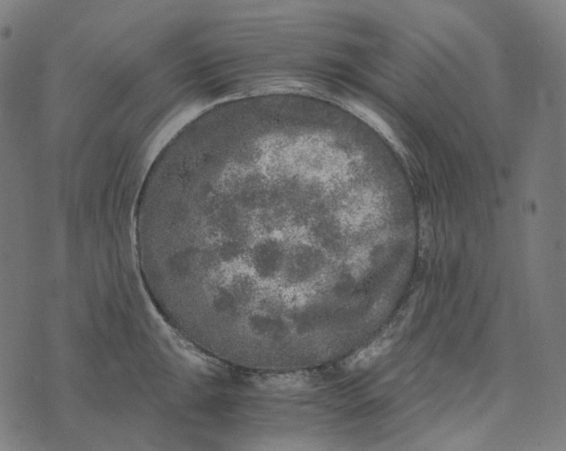 X0000073531047200608211825