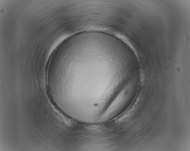 X0000073531048200608211825