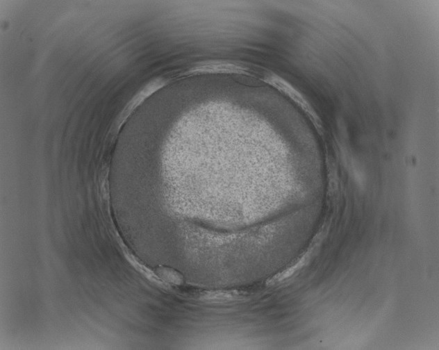 X0000073531049200608211825