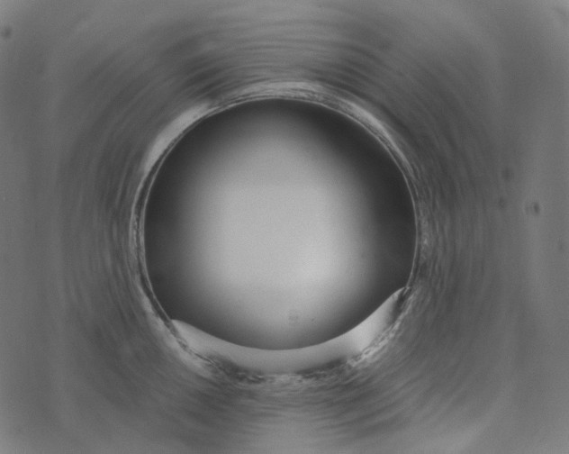 X0000073531050200608211825