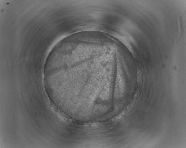 X0000073531051200608211825