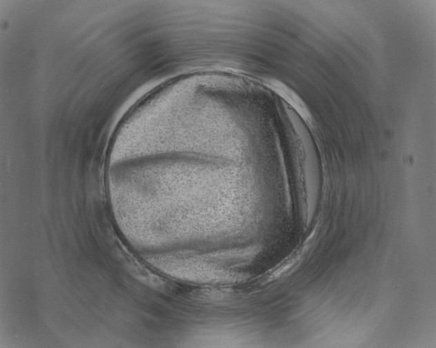 X0000073531052200608211825