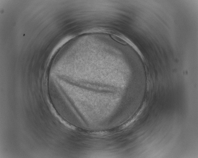 X0000073531053200608211825