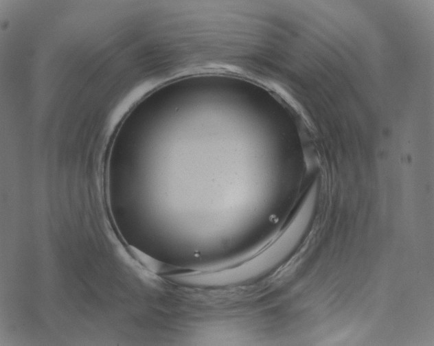 X0000073531054200608211825