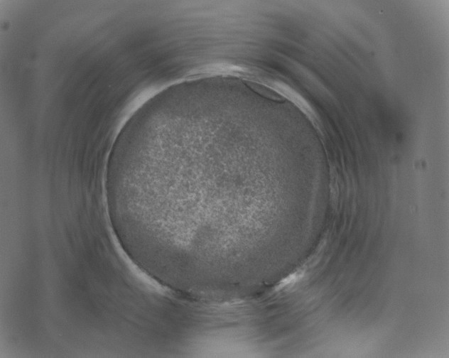 X0000073531055200608211825