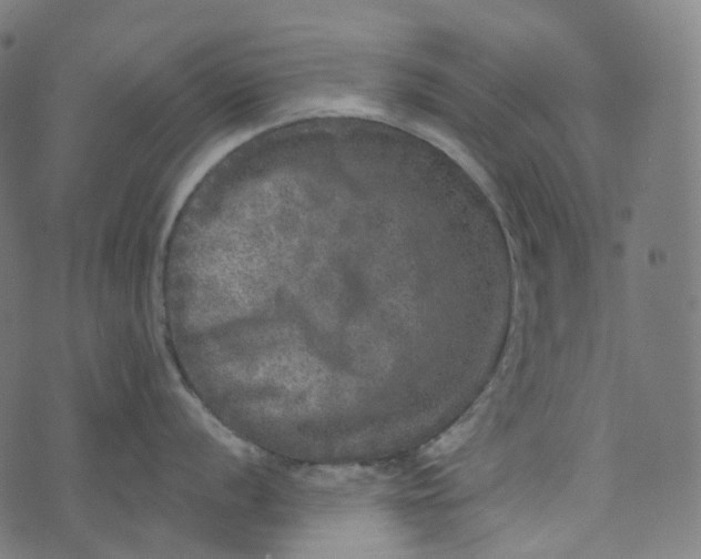 X0000073531056200608211825