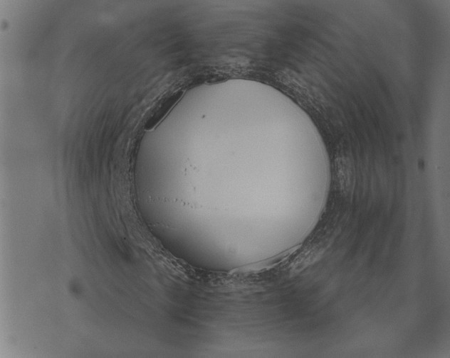 X0000073531057200608211824