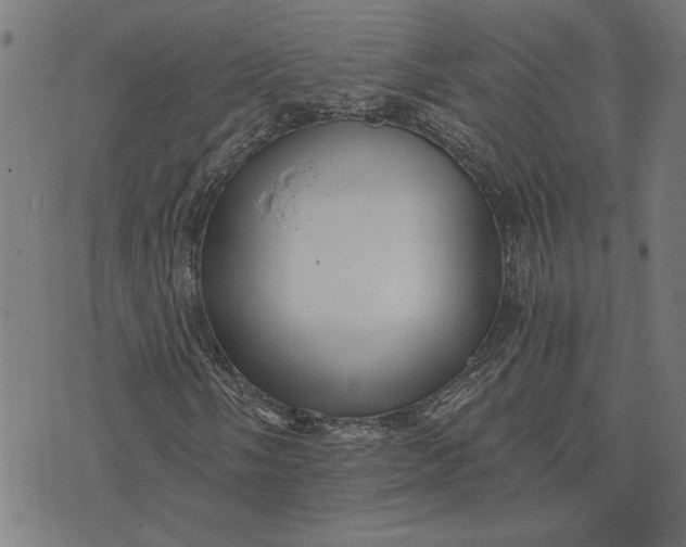 X0000073531058200608211824