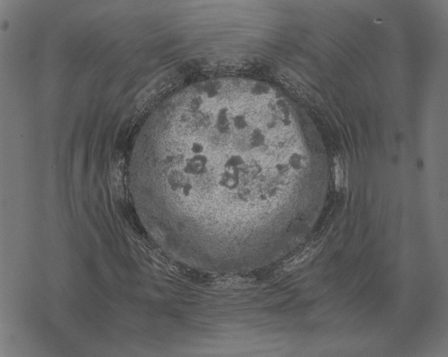 X0000073531059200608211824