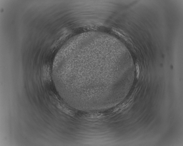 X0000073531060200608211824