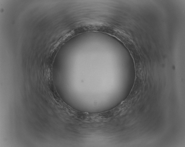 X0000073531061200608211824