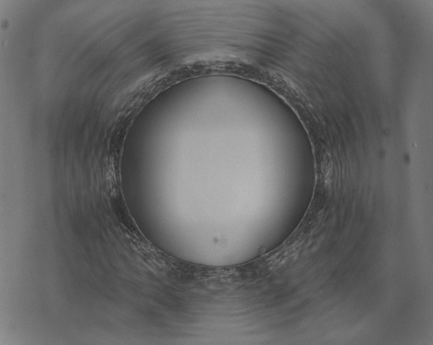 X0000073531062200608211824