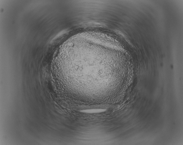 X0000073531063200608211824