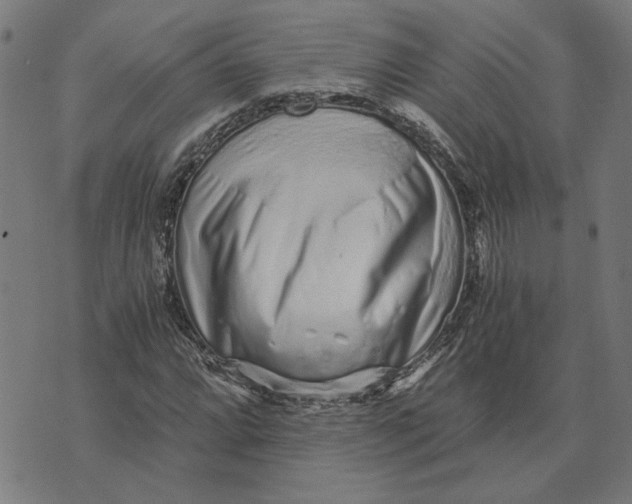 X0000073531064200608211824