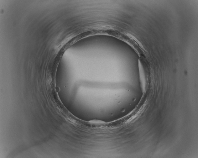 X0000073531065200608211824