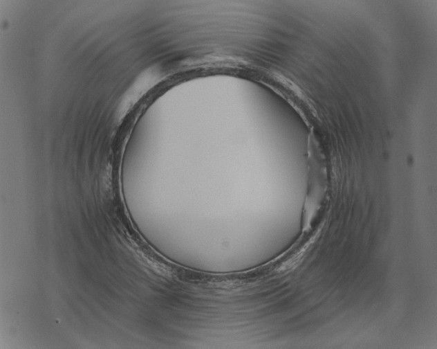 X0000073531066200608211824