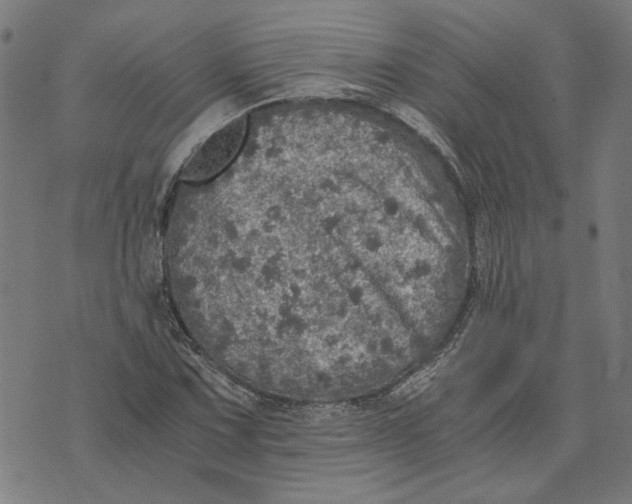 X0000073531067200608211824