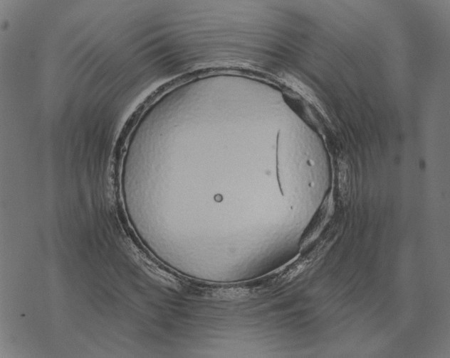 X0000073531068200608211824