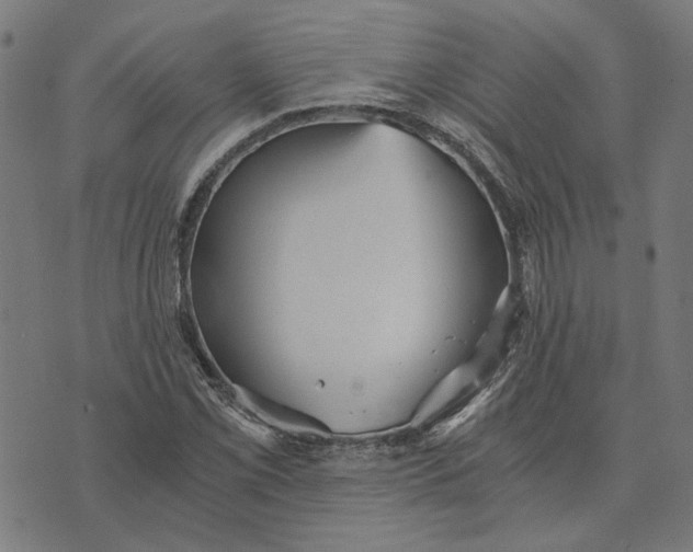 X0000073531069200608211824