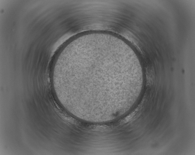 X0000073531070200608211824