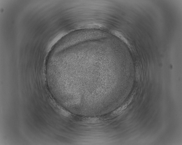 X0000073531071200608211824