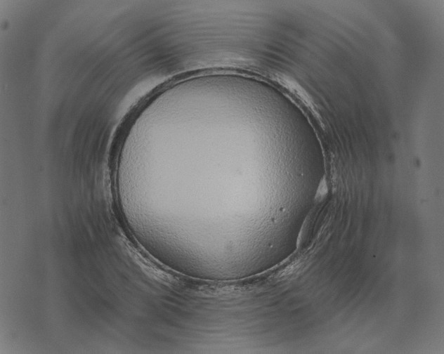 X0000073531072200608211824