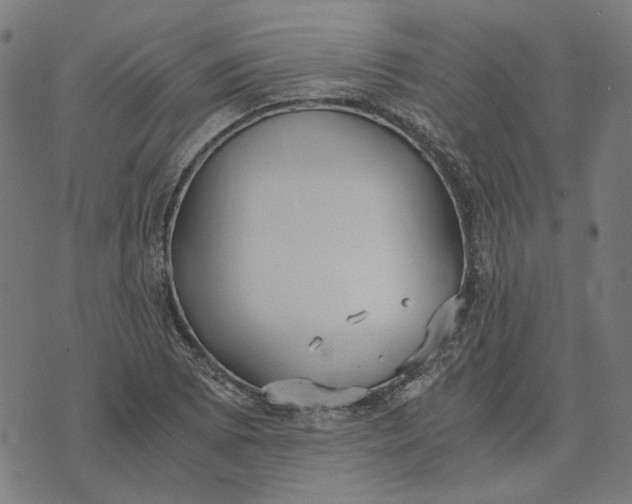 X0000073531073200608211824