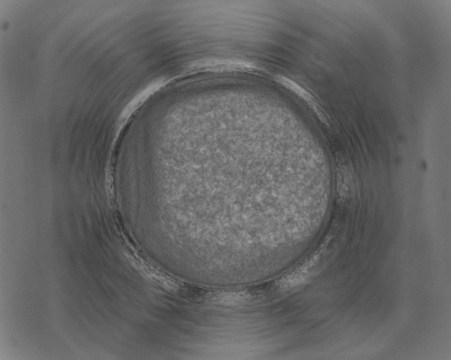 X0000073531074200608211824