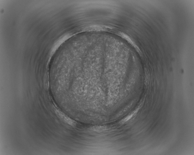 X0000073531075200608211824