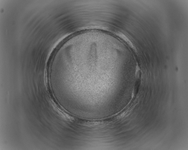 X0000073531076200608211824