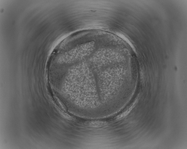 X0000073531077200608211824