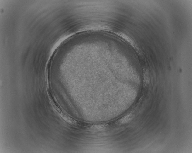 X0000073531078200608211824