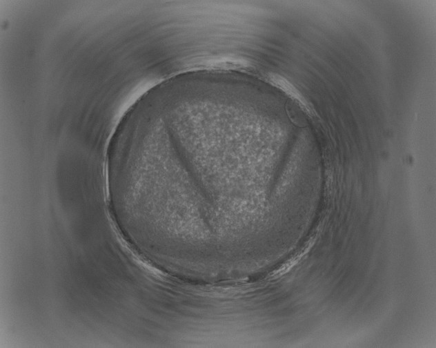 X0000073531079200608211824