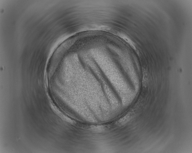 X0000073531080200608211824