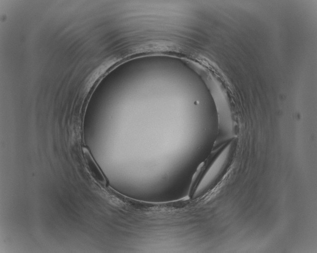 X0000073531081200608211824