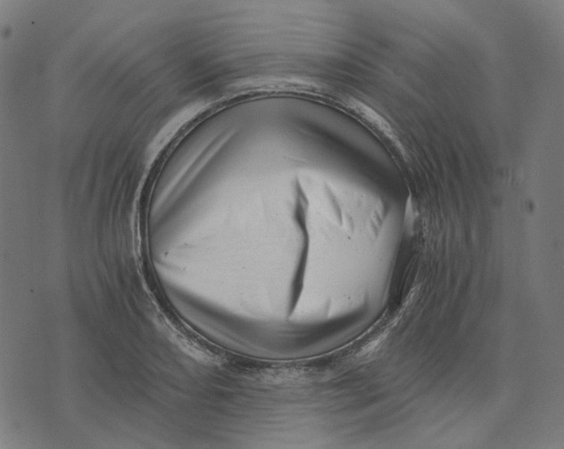 X0000073531082200608211824